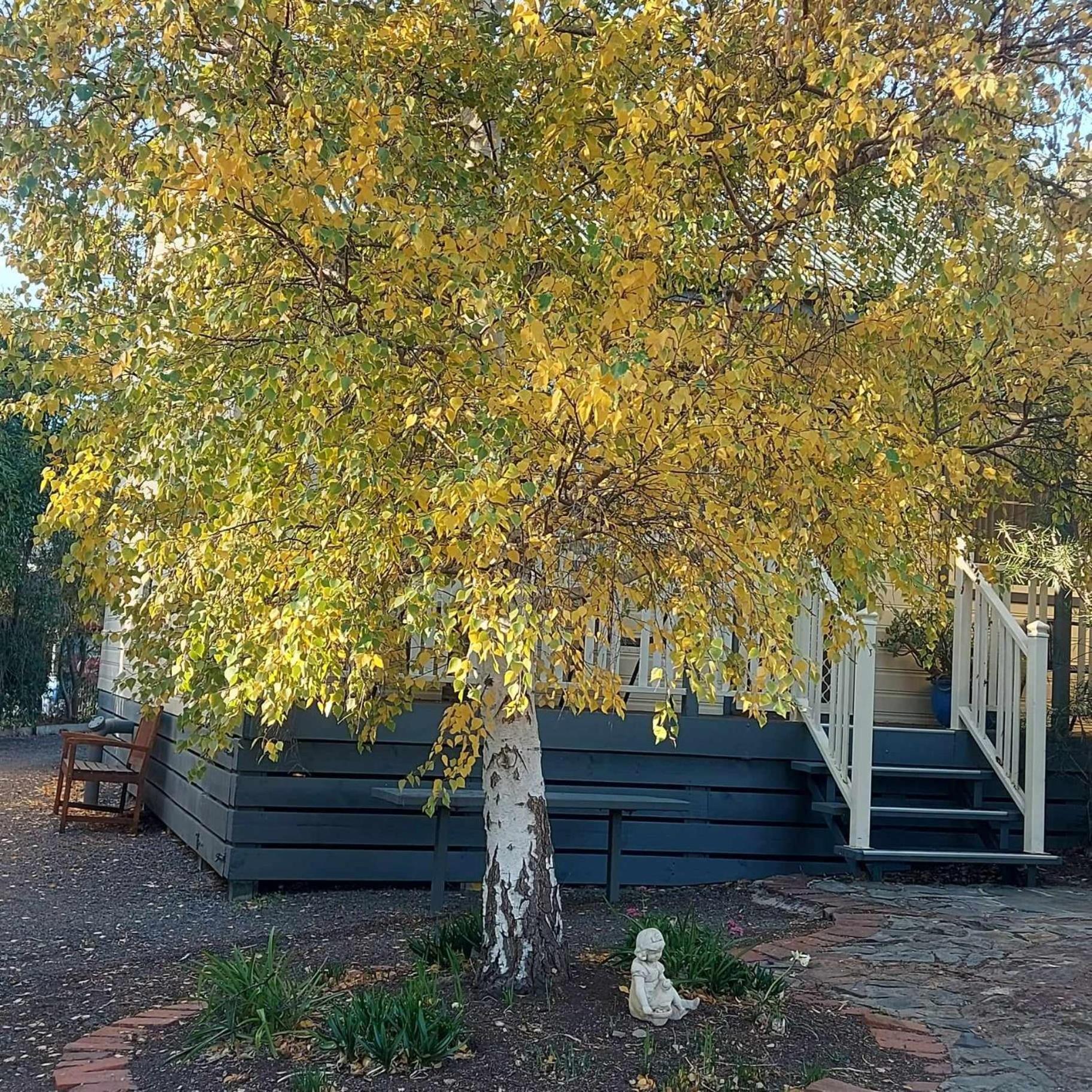 Avoca Cottages Victoria Exterior photo